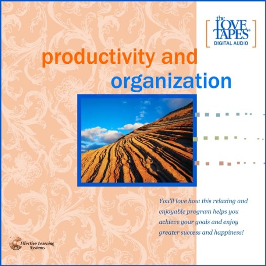 Productivity and Organization